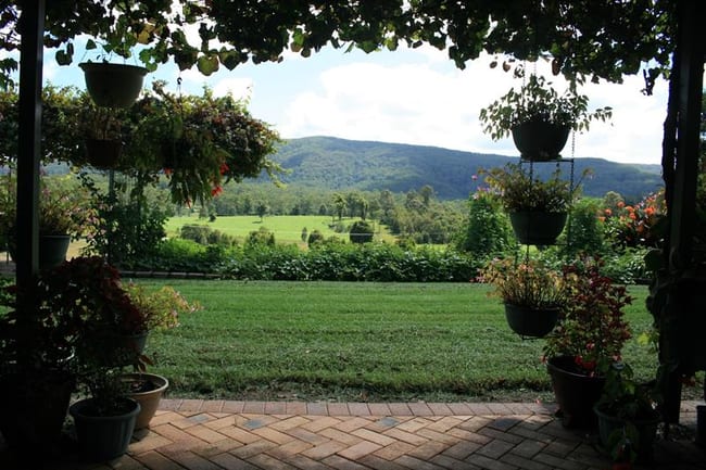 1386 Bucca Road Nana Glen NSW 2450 1386 Bucca Road Nana Glen NSW 2450