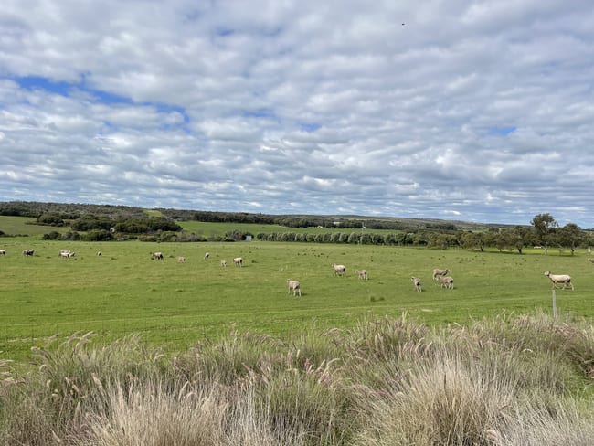 80 Padbury Road Bookara WA 6525 80 Padbury Road Bookara WA 6525