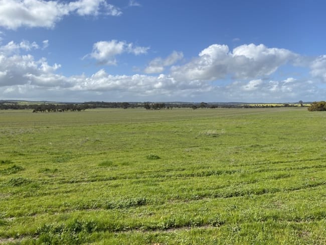 361 Gaths Road Townsendale WA 6311