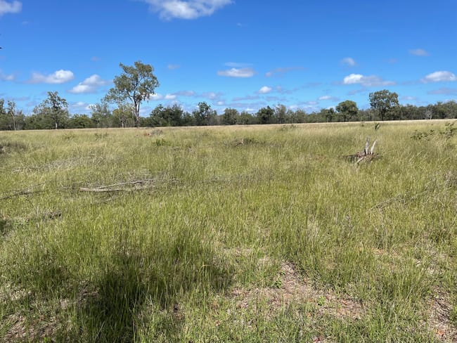 69 Elizabeth Street Duaringa QLD 4712 69 Elizabeth Street Duaringa QLD 4712