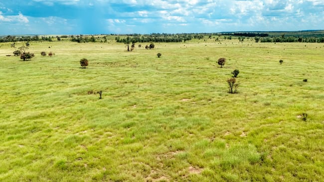 10077 Hoganthulla Road Mungallala QLD 4467 10077 Hoganthulla Road Mungallala QLD 4467