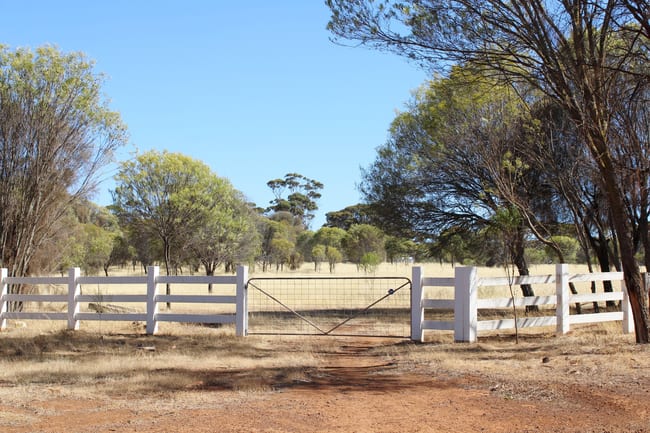 Lot 135 & 136 Nippering North Road Dumbleyung WA 6350