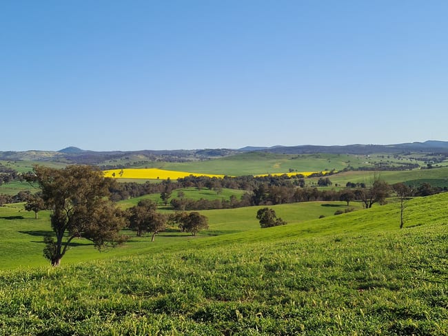 4781 Muttama Road Cootamundra NSW 2590