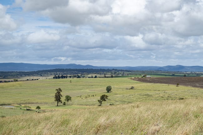 1753 Yangan Killarney Road Killarney QLD 4373 1753 Yangan Killarney Road Killarney QLD 4373