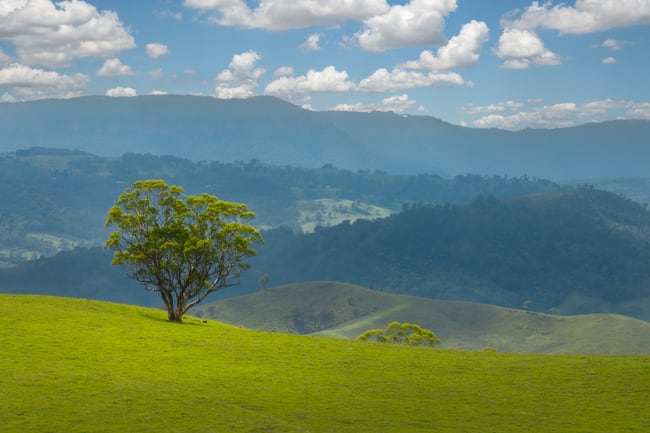 900 Marsden Swamp Road Ganbenang NSW 2790
