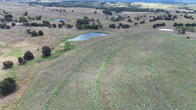 625 Selene Mine Road Kapaldo QLD 4630 625 Selene Mine Road Kapaldo QLD 4630