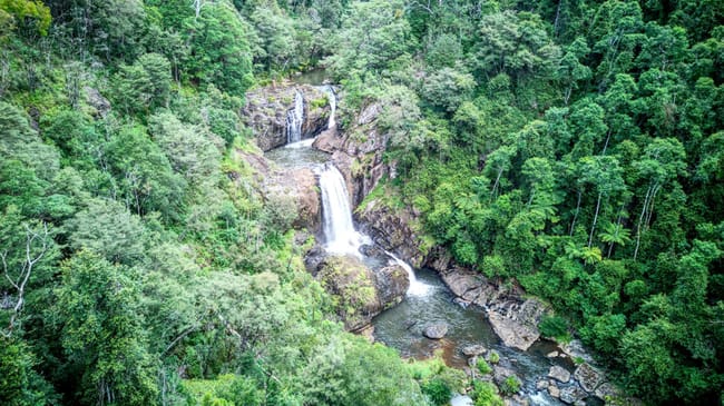 Dorrigo NSW 2453 Dorrigo NSW 2453