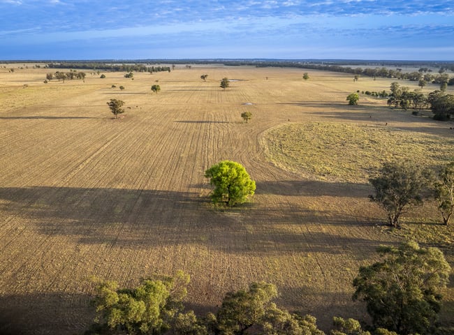Mentone 1521 Bruie Plains Road Trundle NSW 2875 Mentone 1521 Bruie Plains Road Trundle NSW 2875