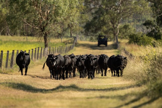 "Hi-View" 299 Hudson Road Felton QLD 4358