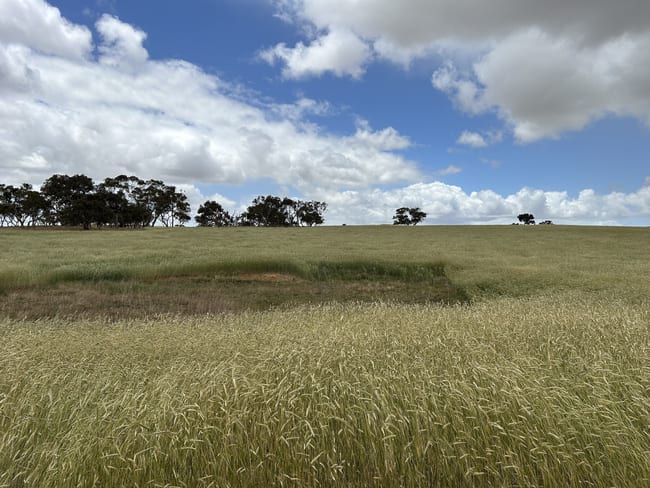 Lot 189 Roy Lawries Road Lochaber SA 5271 Lot 189 Roy Lawries Road Lochaber SA 5271