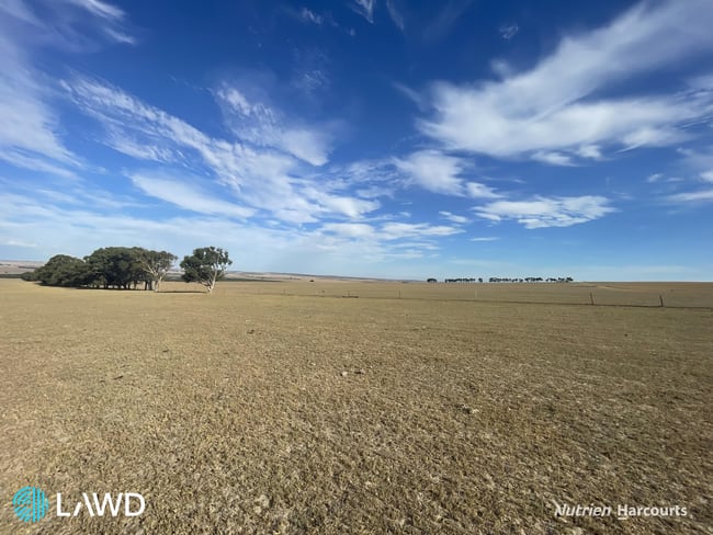 . Allanooka Farm Allanooka WA 6525 . Allanooka Farm Allanooka WA 6525