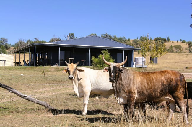 1854 Glenlyon Dam Road Mingoola QLD 4380