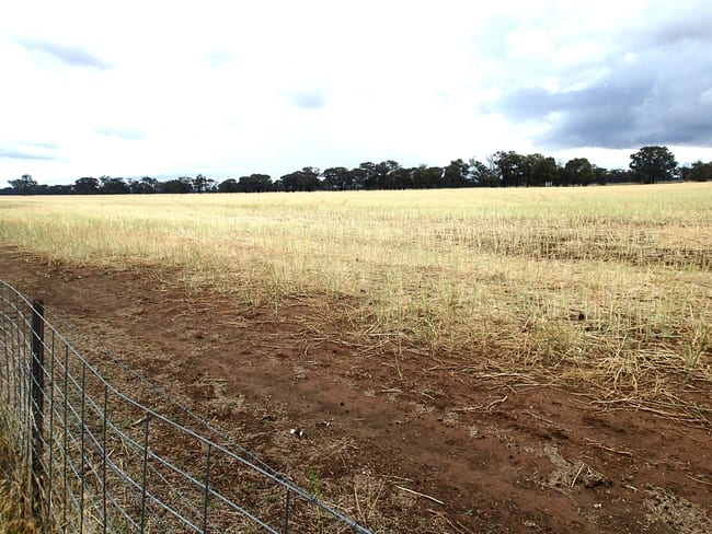 Lots 10 & 11 Clohesseys Road Norong VIC 3682 Lots 10 & 11 Clohesseys Road Norong VIC 3682