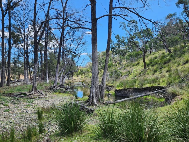 Lot 2 Stanthorpe Texas Road Stanthorpe QLD 4380