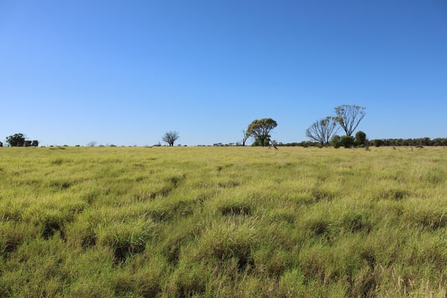 1468 Benlidi Idalia Road Blackall QLD 4472 1468 Benlidi Idalia Road Blackall QLD 4472