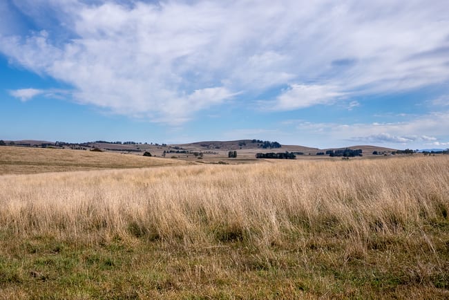 353 Moorilda Road Moorilda NSW 2795 353 Moorilda Road Moorilda NSW 2795