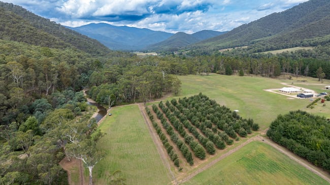 5B McMahons Lane Smoko VIC 3741 5B McMahons Lane Smoko VIC 3741