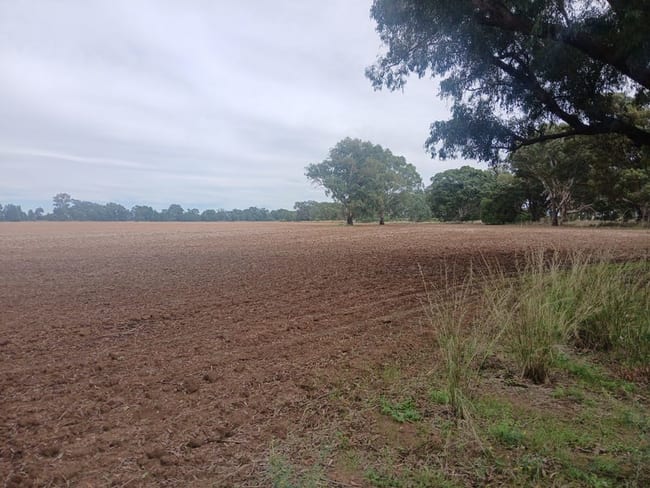 Tooraweenah NSW 2817