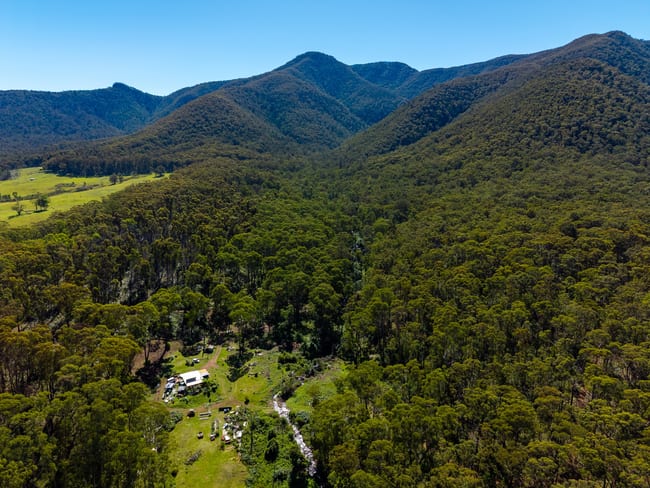 137 Yankees Gap Firetrail Bemboka NSW 2550