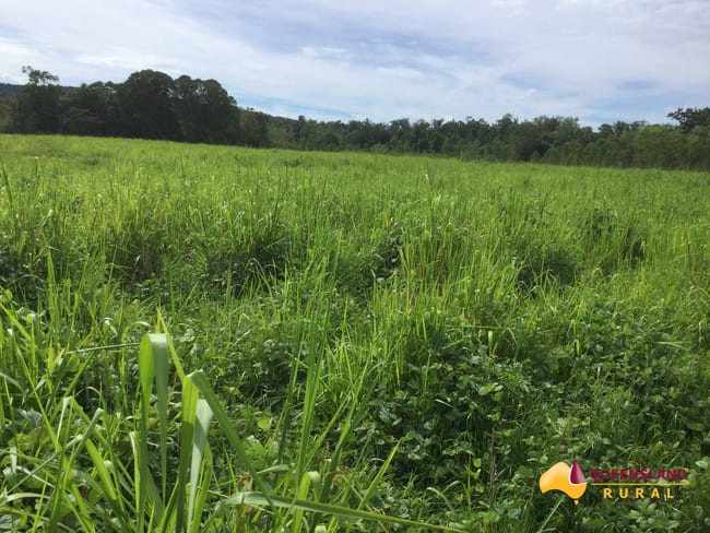 South Innisfail QLD 4860