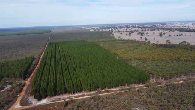 Lot 1 Jim Ryans Road Edenhope VIC 3318 Lot 1 Jim Ryans Road Edenhope VIC 3318