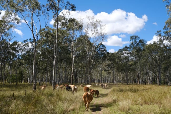 Lot 27 Burnett Highway Cynthia QLD 4627 Lot 27 Burnett Highway Cynthia QLD 4627