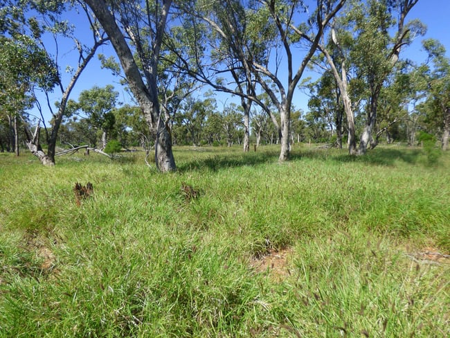4631 Middle Creek Road Langlo QLD 4470 4631 Middle Creek Road Langlo QLD 4470