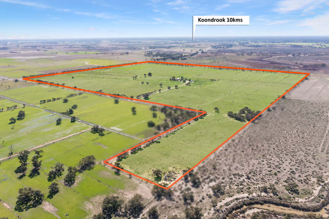 85 Brown Road Teal Point VIC 3579