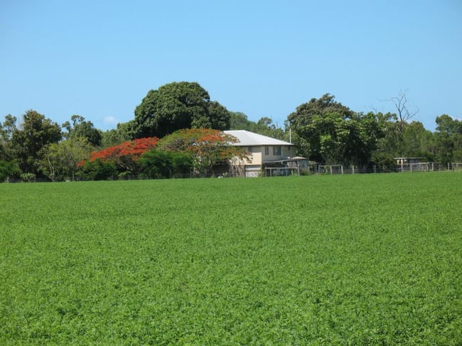 Bundaberg QLD 4670 Bundaberg QLD 4670