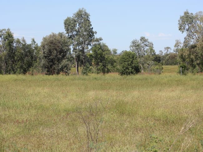 444 Jambin Goovigen Road Goovigen QLD 4702