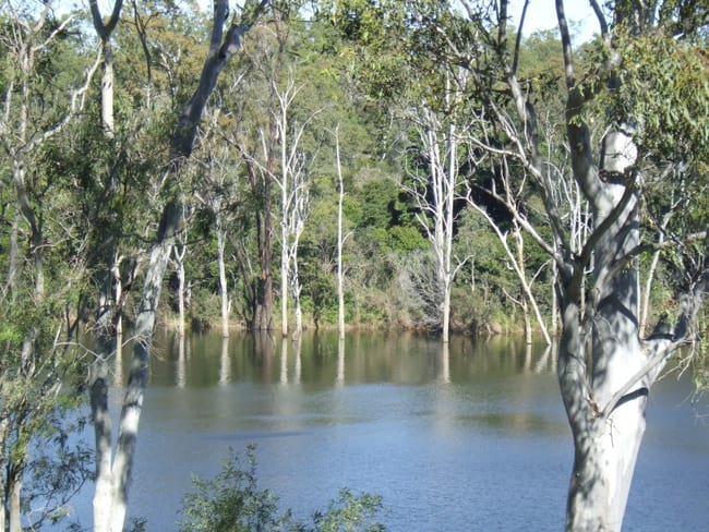 Bungadoo QLD 4671 Bungadoo QLD 4671