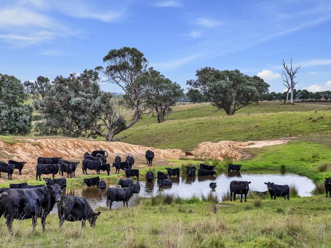 127 Balgonie Lane Perry Bridge VIC 3862