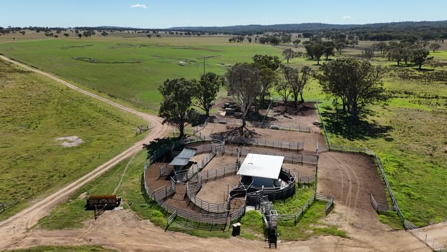 555 Palgrave Road Dalveen QLD 4374