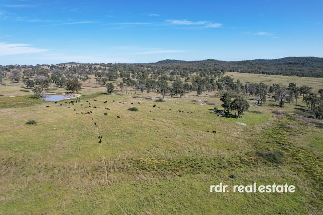 1305 Bingara Road Bundarra NSW 2359 1305 Bingara Road Bundarra NSW 2359
