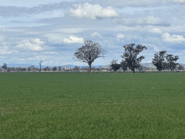 122 Reapers Road Culcairn NSW 2660