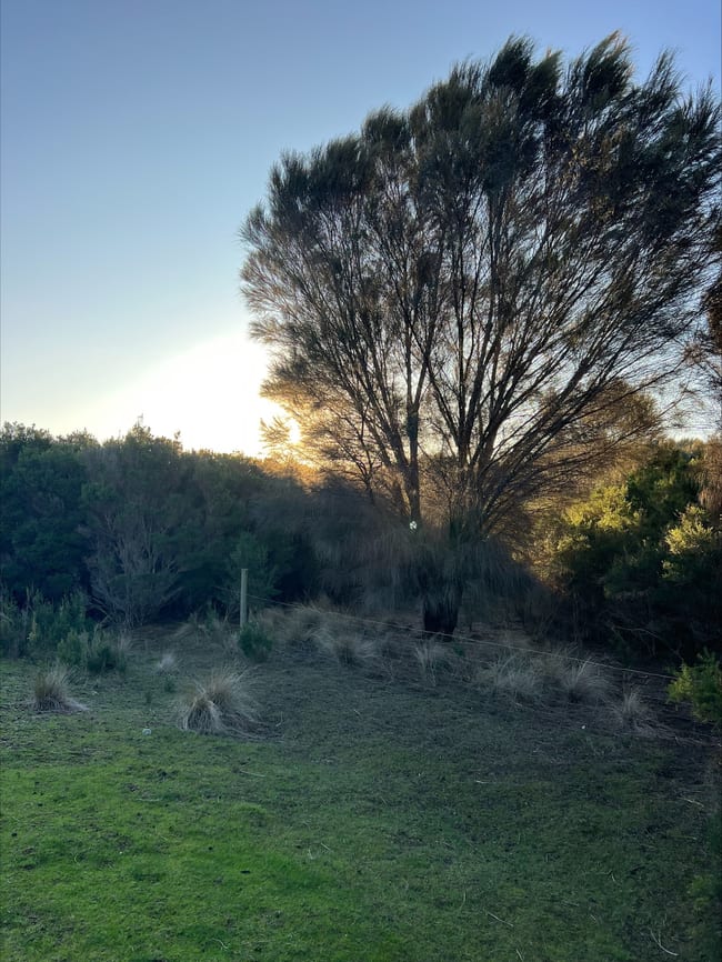 Lot 1 Bluff Road Whitemark TAS 7255 Lot 1 Bluff Road Whitemark TAS 7255