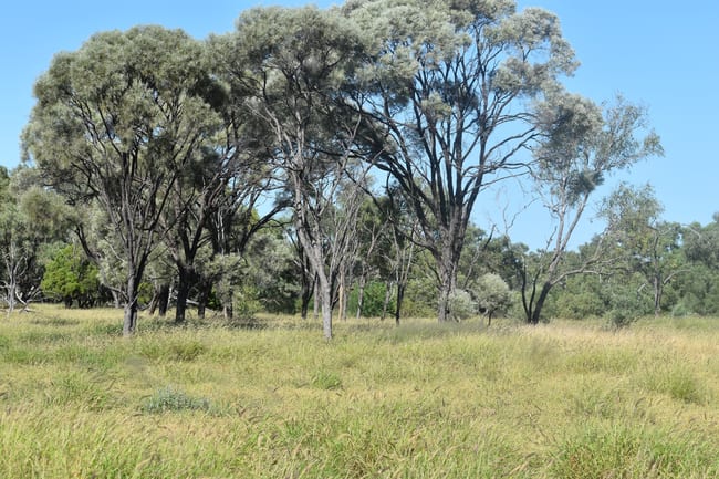 Moor Moor Road Dutton River QLD 4821 Moor Moor Road Dutton River QLD 4821