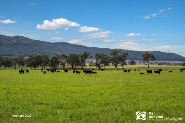 7458 Bylong Valley Way Bylong NSW 2849