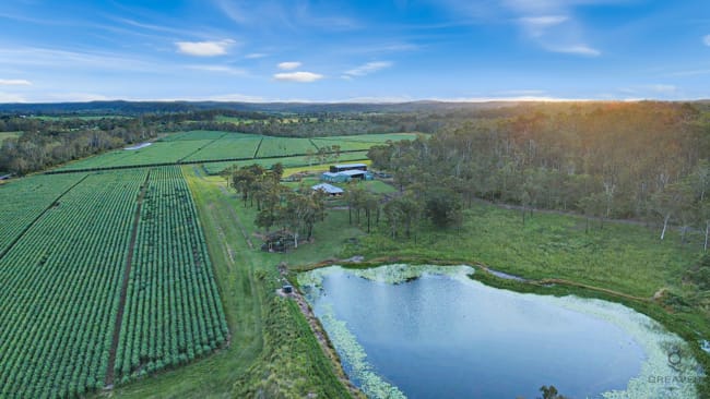 216 Snake Creek Road Bungadoo QLD 4671