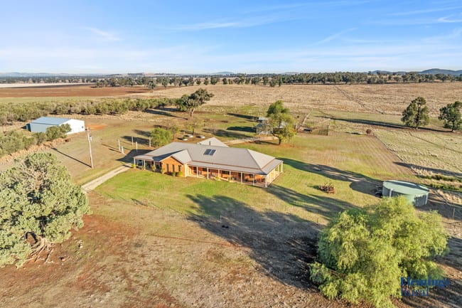 1010 Dinga Dingi Road Stockinbingal NSW 2725 1010 Dinga Dingi Road Stockinbingal NSW 2725
