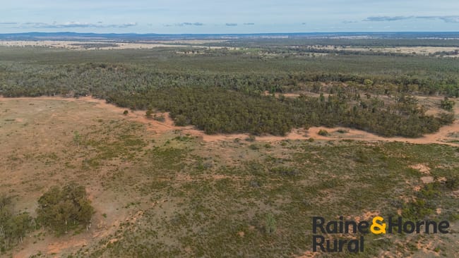 20 Sarsfield Road Tullamore NSW 2874