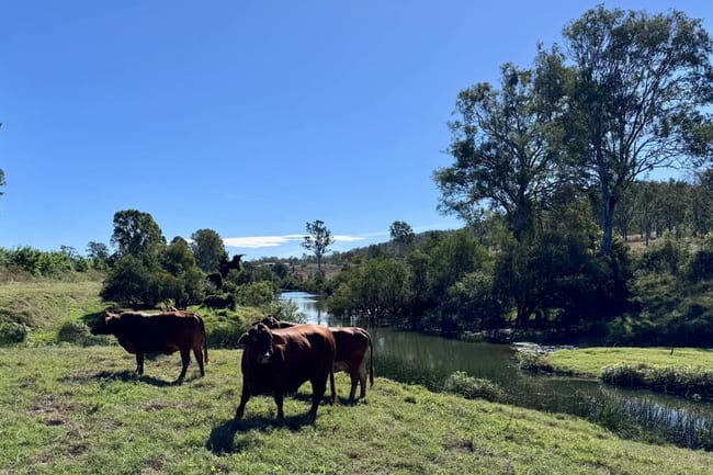 479 Bular Road Kilkivan QLD 4600 479 Bular Road Kilkivan QLD 4600