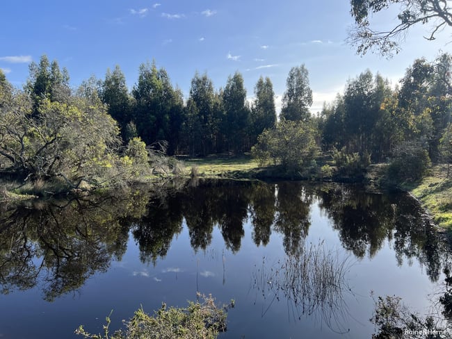 Lot 5809 Takenup Road Napier WA 6330 Lot 5809 Takenup Road Napier WA 6330