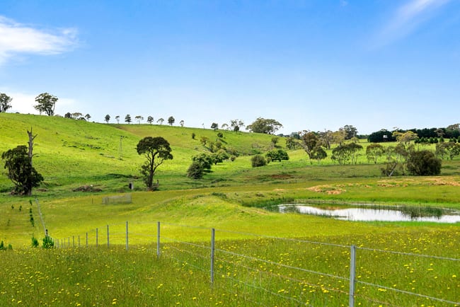 373 Sallys Corner Road Exeter NSW 2579