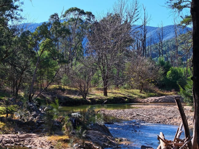 Lot 4 Araluen Road Araluen NSW 2622 Lot 4 Araluen Road Araluen NSW 2622