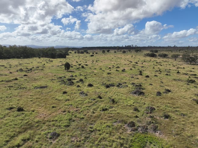 1350 Baralaba Rannes Road Kokotungo QLD 4702