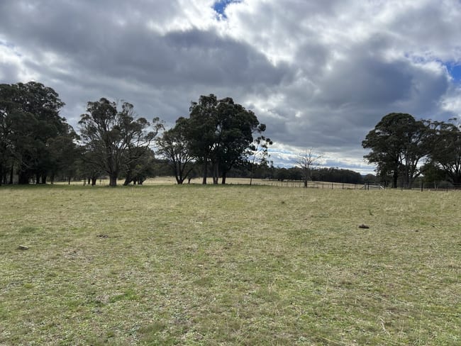 # Coopers Road Red Range NSW 2370 # Coopers Road Red Range NSW 2370