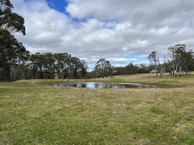 * Coopers Road Red Range NSW 2370 * Coopers Road Red Range NSW 2370