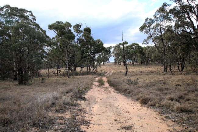 397 Rothlyn Road Chakola NSW 2630 397 Rothlyn Road Chakola NSW 2630
