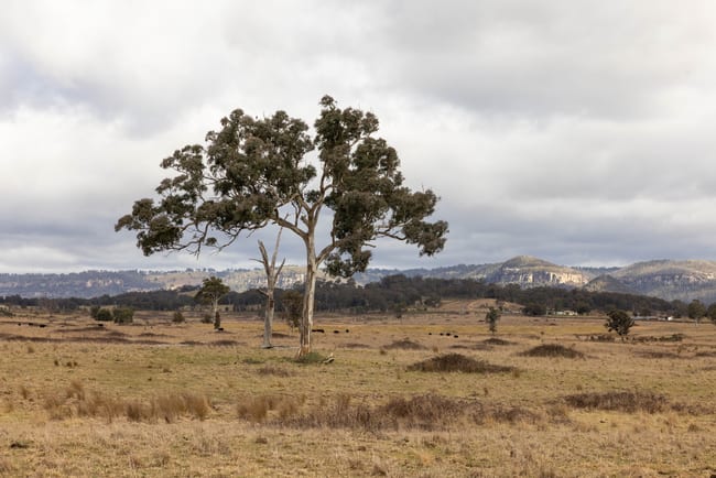 162 Mount View Road Kandos NSW 2848
